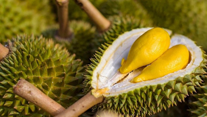 2023 promet d'être une année d'accélération des exportations nationales de durian ảnh 1 2023 promet d'être une année d'accélération des exportations nationales de durian ảnh 1