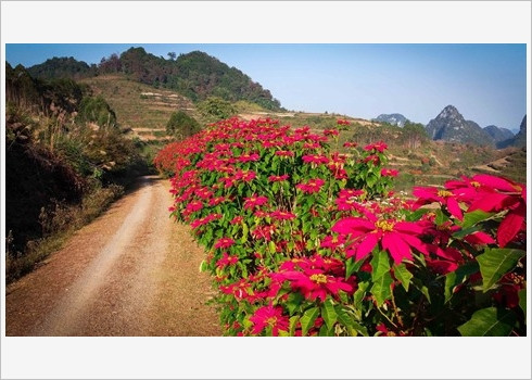 Paysage féérique à Cao Bang ảnh 6 Paysage féérique à Cao Bang ảnh 6