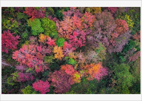Paysage féérique à Cao Bang ảnh 3 Paysage féérique à Cao Bang ảnh 3