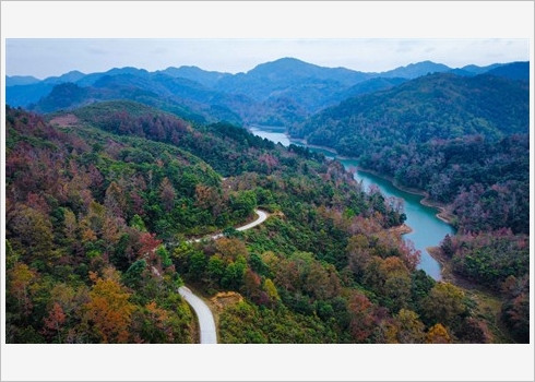 Paysage féérique à Cao Bang ảnh 4 Paysage féérique à Cao Bang ảnh 4