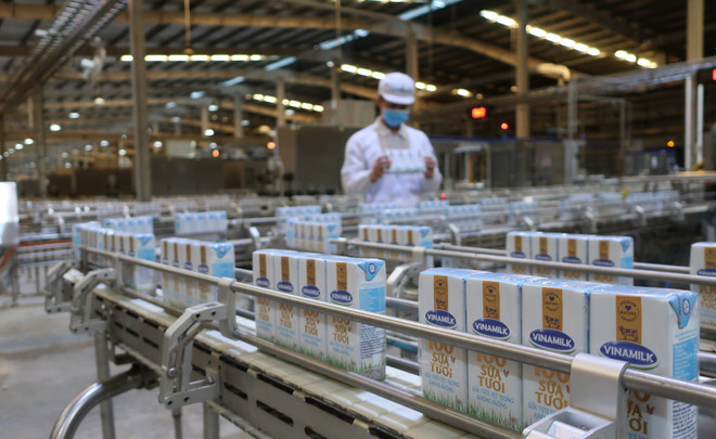 Deux unités nouvellement autorisées à exporter du lait vers la Chine ảnh 1 Deux unités nouvellement autorisées à exporter du lait vers la Chine ảnh 1