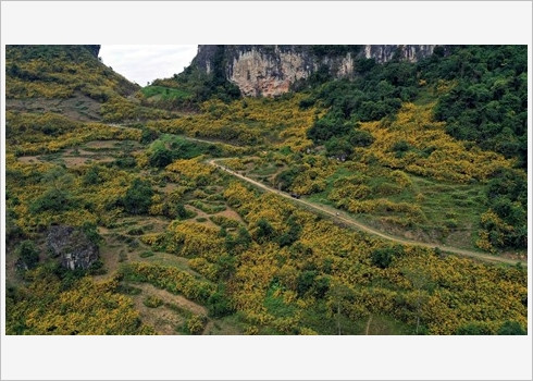 Paysage féérique à Cao Bang ảnh 2 Paysage féérique à Cao Bang ảnh 2
