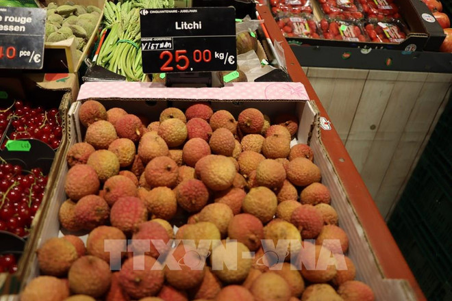 EVFTA, catalyseur pour les exportations vietnamiennes ảnh 2