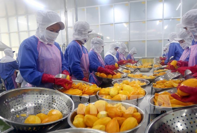 EVFTA, catalyseur pour les exportations vietnamiennes ảnh 3