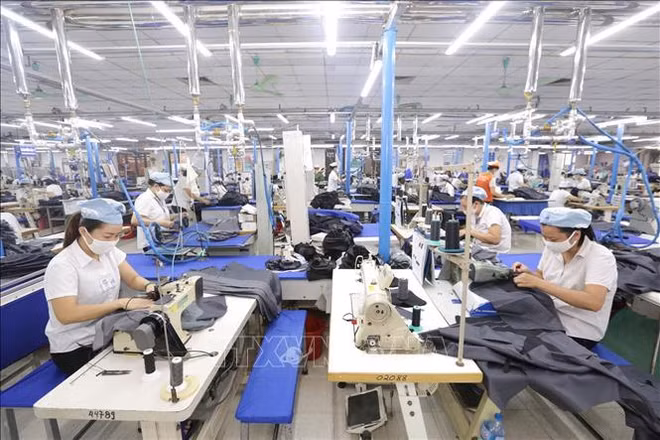 Le Vietnam vise plus de 45 milliards de dollars d'exportations de textile-habillement en 2022 ảnh 2