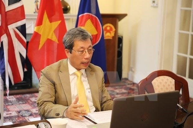 Création d'une association d'intellectuels vietnamiens au Royaume-Uni et en Irlande ảnh 1