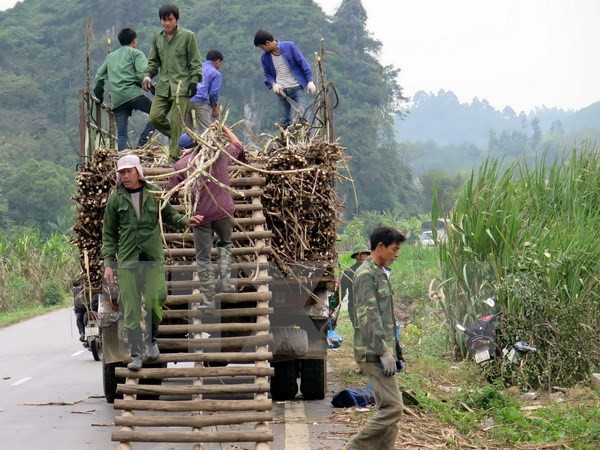 Le Vietnam s’intéresse toujours à la réduction durable de la pauvreté ảnh 1 Le Vietnam s’intéresse toujours à la réduction durable de la pauvreté ảnh 1