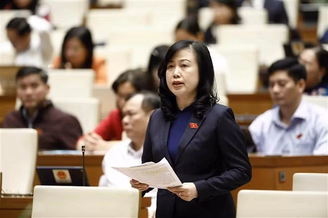 AN: La ministre de la Santé donne des explications sur divers problèmes ảnh 1 AN: La ministre de la Santé donne des explications sur divers problèmes ảnh 1