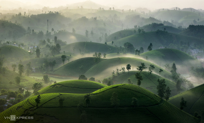 À Phu Tho, les collines de théiers et autres beautés ảnh 2 À Phu Tho, les collines de théiers et autres beautés ảnh 2
