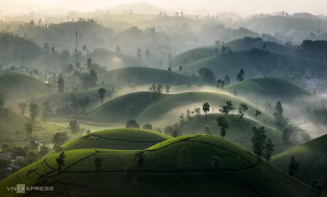 À Phu Tho, les collines de théiers et autres beautés ảnh 2