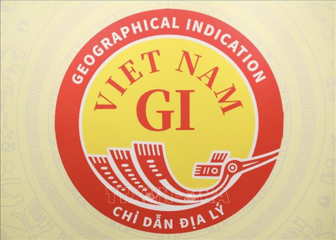 Annonce du logo de l'indication géographique nationale du Vietnam ảnh 1