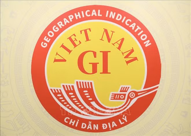 Annonce du logo de l'indication géographique nationale du Vietnam ảnh 1