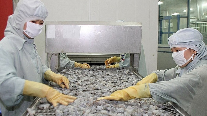 Reprise des exportations de crevettes vers la Chine ảnh 1 Reprise des exportations de crevettes vers la Chine ảnh 1