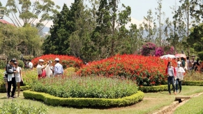 Reconnaissance de 25 sites touristiques agricoles high-tech à Dà Lat ảnh 1 Reconnaissance de 25 sites touristiques agricoles high-tech à Dà Lat ảnh 1