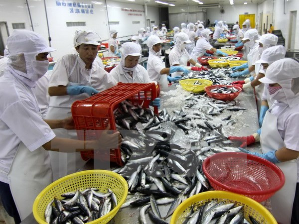 S'orienter vers un développement durable du secteur aquicole ảnh 1 S'orienter vers un développement durable du secteur aquicole ảnh 1