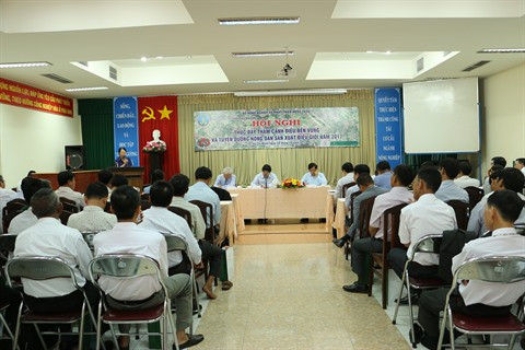Cap sur la culture intensive des anacardiers ảnh 1 Cap sur la culture intensive des anacardiers ảnh 1