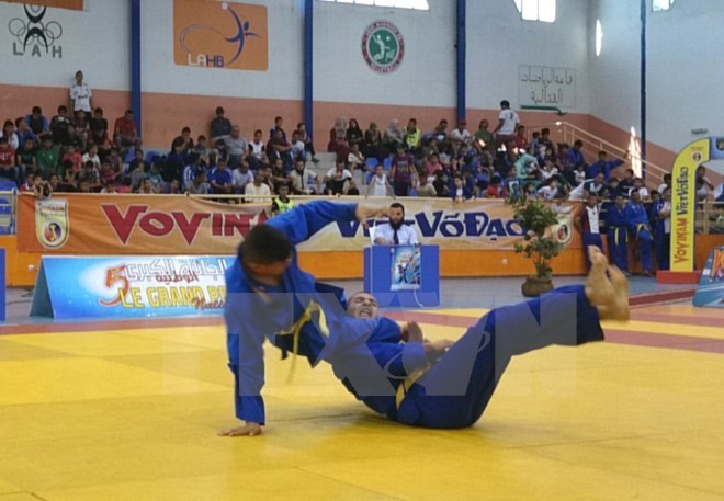 La Suisse accueille les championnats d’Europe de Vovinam Viet Vo Dao ảnh 1