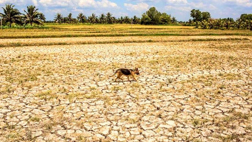 Bloomberg: L’économie vietnamienne enregistre une croissance appréciable malgré la sécheresse ảnh 1 Bloomberg: L’économie vietnamienne enregistre une croissance appréciable malgré la sécheresse ảnh 1