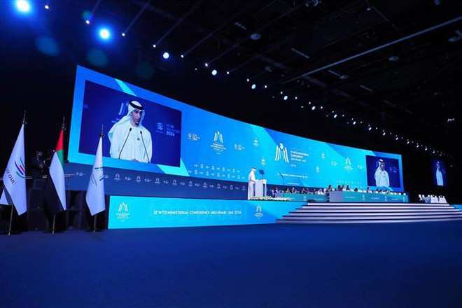 Des solutions proposées pour promouvoir le commerce et le développement industriel durable à l'OMC ảnh 1