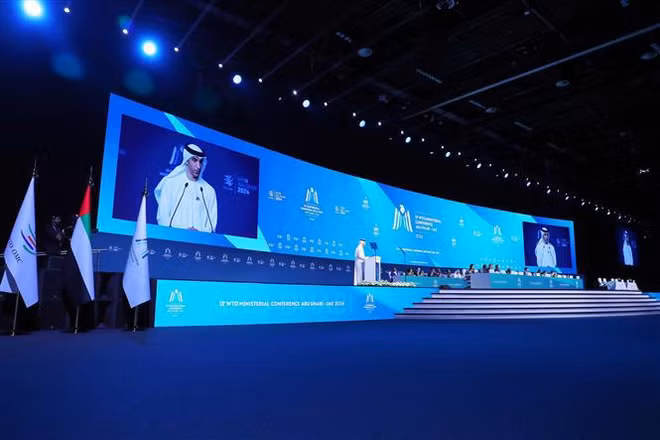 Des solutions proposées pour promouvoir le commerce et le développement industriel durable à l'OMC ảnh 1