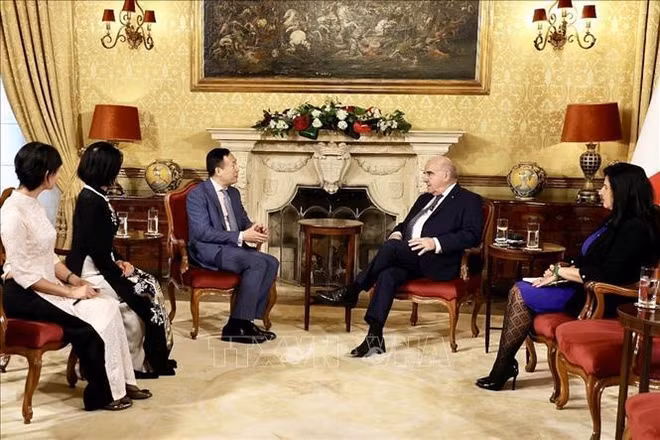 Diverses activités marquant les 50 ans de l'établissement des relations diplomatiques Vietnam-Malte ảnh 1
