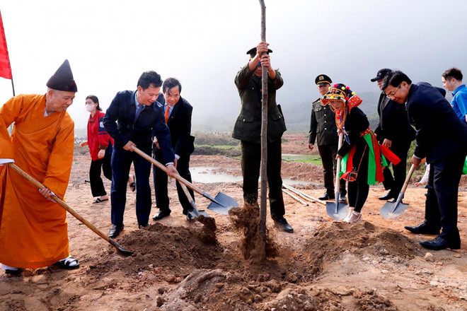 Plantation d'arbres pour un Vietnam vert et durable ảnh 1 Plantation d'arbres pour un Vietnam vert et durable ảnh 1