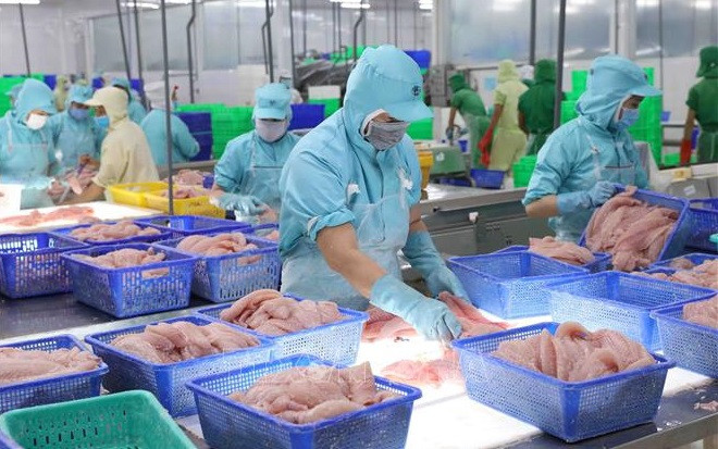Bons signes des exportations de produits aquatiques ảnh 1 Bons signes des exportations de produits aquatiques ảnh 1