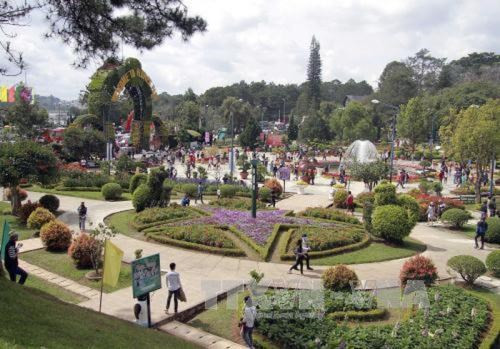 Lam Dong vise 9,7 millions de touristes en 2024 ảnh 1
