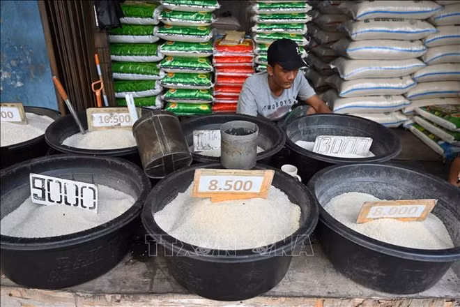 Le gouvernement indonésien compte d’importer 1,6 million de tonnes de riz supplémentaires ảnh 1