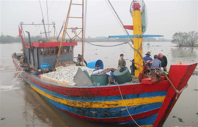 INN : Thai Binh déterminée de retirer le "Carton jaune" ảnh 1 INN : Thai Binh déterminée de retirer le "Carton jaune" ảnh 1