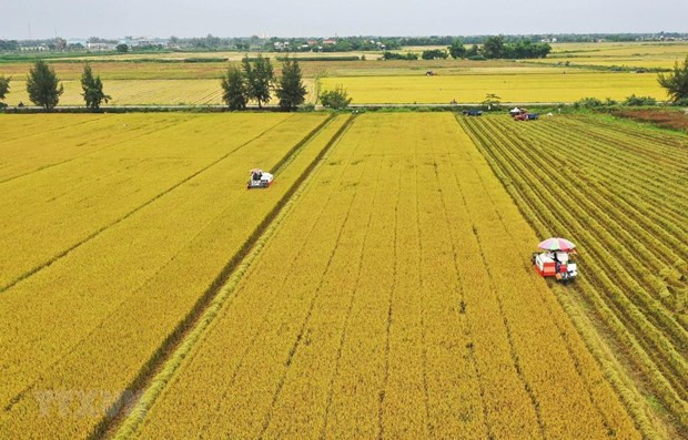 Le Vietnam mène la révolution de l’agriculture verte ảnh 2 Le Vietnam mène la révolution de l’agriculture verte ảnh 2