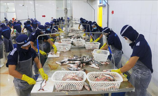 Hô Chi Minh-Ville : Plus de 97% des ouvriers ont repris le travail après le Têt ảnh 1