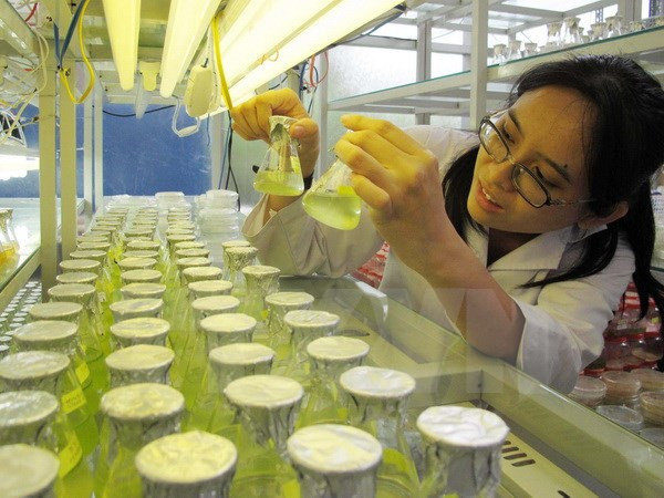 ASEAN et UE coopèrent pour une meilleure qualité de l’éducation ảnh 1 ASEAN et UE coopèrent pour une meilleure qualité de l’éducation ảnh 1