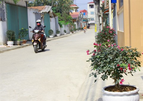 Nouvelle ruralité: Une région suburbaine de Hanoi en pleine mutation ảnh 1 Nouvelle ruralité: Une région suburbaine de Hanoi en pleine mutation ảnh 1
