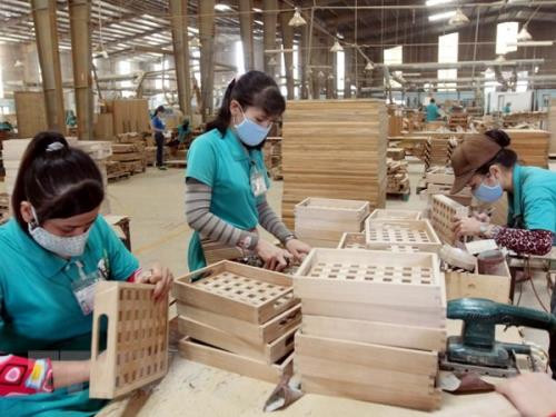 La filière bois pourrait exporter pour 9 milliards de dollars ảnh 1 La filière bois pourrait exporter pour 9 milliards de dollars ảnh 1