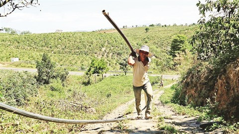 La sécheresse sévit au Tây Nguyên, les agriculteurs sur le qui-vive ảnh 1 La sécheresse sévit au Tây Nguyên, les agriculteurs sur le qui-vive ảnh 1