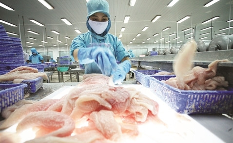 Pourquoi le Vietnam doit investir dans la logistique frigorifique ảnh 2 Pourquoi le Vietnam doit investir dans la logistique frigorifique ảnh 2