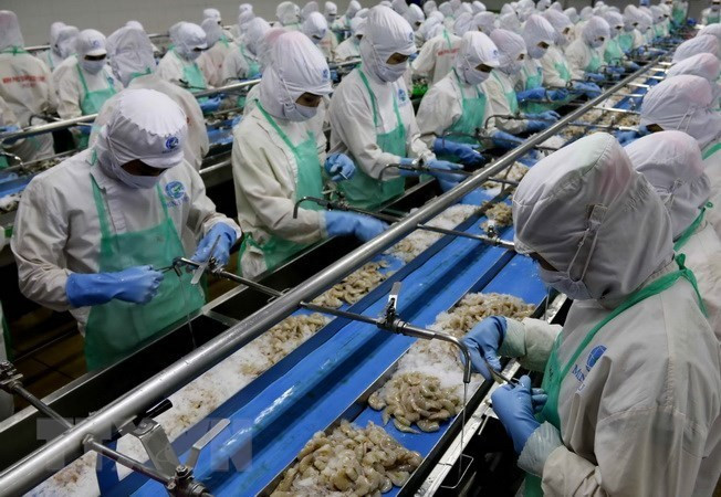 Le Vietnam promeut ses exportations de produits marins vers l’Europe ảnh 1 Le Vietnam promeut ses exportations de produits marins vers l’Europe ảnh 1
