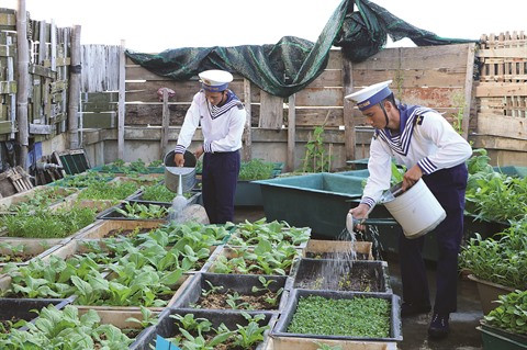 De l’or bleu pour les visiteurs de l’archipel de Truong Sa ảnh 2 De l’or bleu pour les visiteurs de l’archipel de Truong Sa ảnh 2