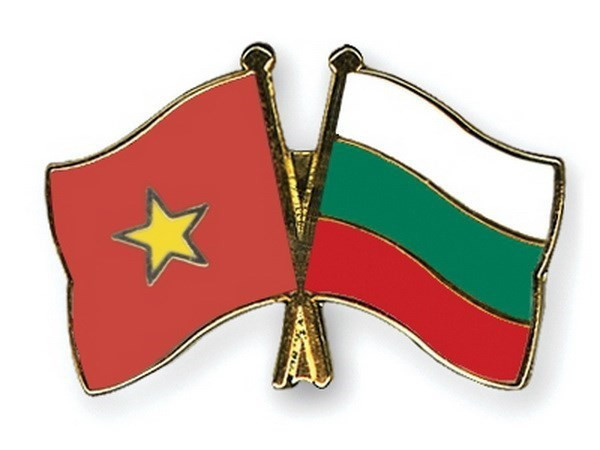 Promotion des relations d’amitié et de coopération Vietnam-Bulgarie ảnh 1