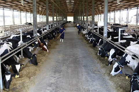 L’agriculture durable et la sécurité alimentaire - une des priorités dans la coopération de l'APEC ảnh 1 L’agriculture durable et la sécurité alimentaire - une des priorités dans la coopération de l'APEC ảnh 1