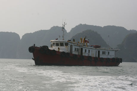 Vinacomin allège sa part dans Vicosa et se restructure ảnh 1