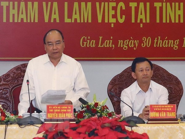 Gia Lai doit augmenter la couverture forestière ảnh 1 Gia Lai doit augmenter la couverture forestière ảnh 1
