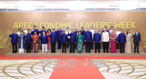 La 25e conférence des dirigeants économiques de l'APEC à Da Nang ảnh 1