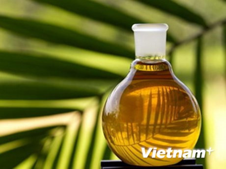 L'Indonésie appelle l'ASEAN à protester contre la limite de consommation de l'huile de palme ảnh 1 L'Indonésie appelle l'ASEAN à protester contre la limite de consommation de l'huile de palme ảnh 1