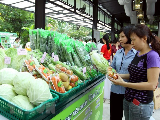 Près de 80% des magasins de fruits à Hanoi répondent aux normes de sécurité ảnh 1 Près de 80% des magasins de fruits à Hanoi répondent aux normes de sécurité ảnh 1