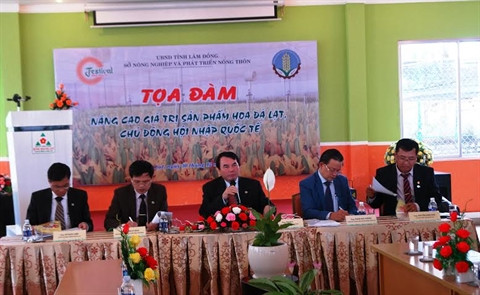 Nécessité d’élever la valeur des fleurs de Dà Lat ảnh 1 Nécessité d’élever la valeur des fleurs de Dà Lat ảnh 1