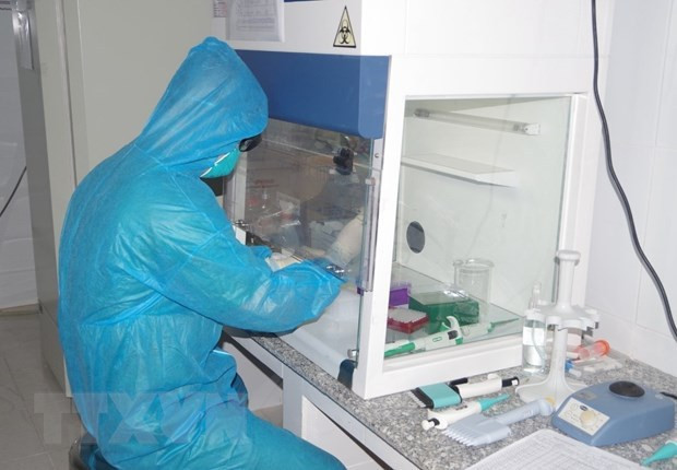 COVID-19 : plus de 1.100 nouveaux cas signalés en 24 heures ảnh 1 COVID-19 : plus de 1.100 nouveaux cas signalés en 24 heures ảnh 1