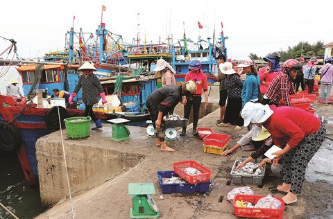 Les programmes d’aide soufflent un vent frais sur la filière pêche ảnh 1