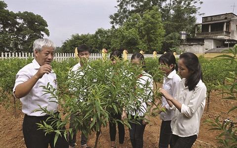 Articulation "théorie-pratique" dans la formation à Phu Tho ảnh 1 Articulation "théorie-pratique" dans la formation à Phu Tho ảnh 1